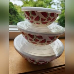 Modern Pantry bamboo food storage containers bowls watermelon NWT